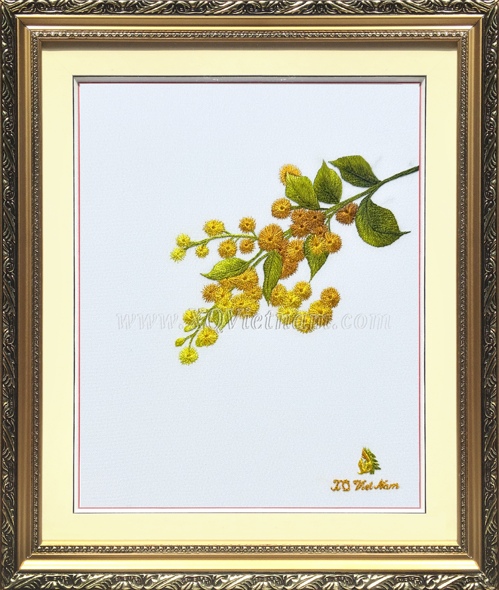 Nhàn Vân Hoa Thảo - Mimosa 1